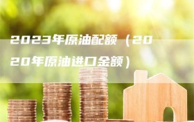 2023年原油配额（2020年原油进口金额）