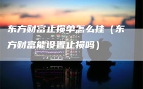 东方财富止损单怎么挂（东方财富能设置止损吗）