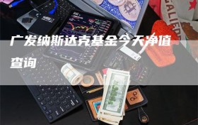 广发纳斯达克基金今天净值查询