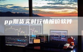 pp期货实时行情报价软件