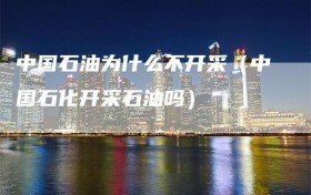 中国石油为什么不开采（中国石化开采石油吗）