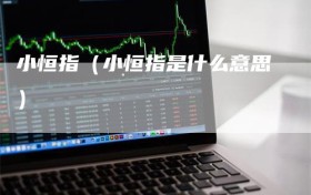 小恒指（小恒指是什么意思）