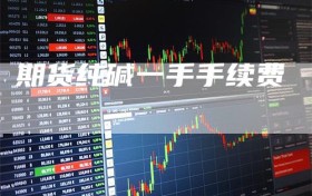 期货纯碱一手手续费