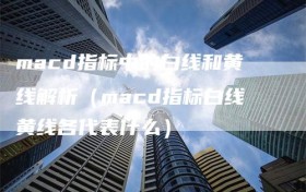 macd指标中的白线和黄线解析（macd指标白线黄线各代表什么）