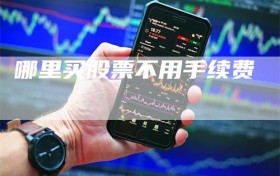 哪里买股票不用手续费