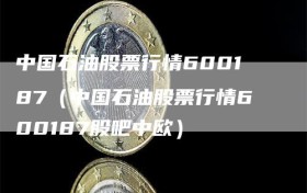 中国石油股票行情600187（中国石油股票行情600187股吧中欧）