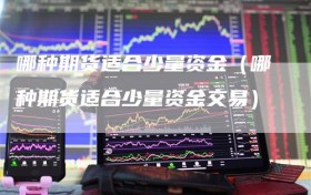 哪种期货适合少量资金（哪种期货适合少量资金交易）