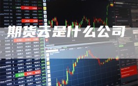 期货云是什么公司