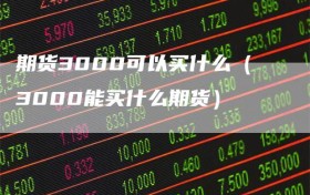 期货3000可以买什么（3000能买什么期货）