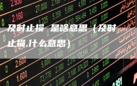 及时止损 是啥意思（及时止损,什么意思）