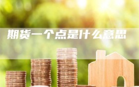 期货一个点是什么意思