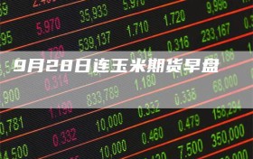 9月28日连玉米期货早盘