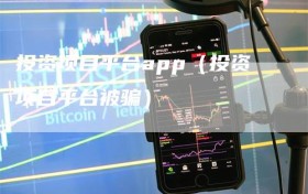 投资项目平台app（投资项目平台被骗）