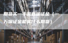 期货买一手需要保证金（一万保证金能买什么期货）
