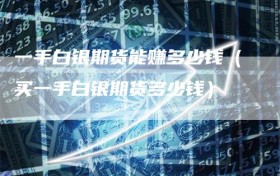 一手白银期货能赚多少钱（买一手白银期货多少钱）