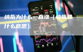 纳指为什么一直涨（纳指跌什么意思）