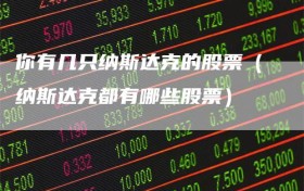 你有几只纳斯达克的股票（纳斯达克都有哪些股票）