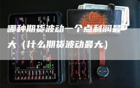 哪种期货波动一个点利润最大（什么期货波动最大）