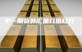 中一期货外汇是几倍杠杆