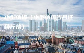 小型纳指（小型纳指当月连续行情）