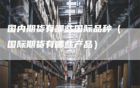 国内期货有哪些国际品种（国际期货有哪些产品）