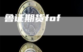 鲁证期货fof