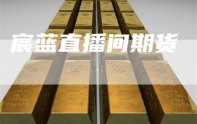 宸蓝直播间期货