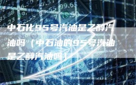 中石化95号汽油是乙醇汽油吗（中石油的95号汽油是乙醇汽油吗）