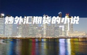 炒外汇期货的小说