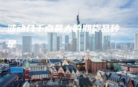 波动几千点最大的期货品种是