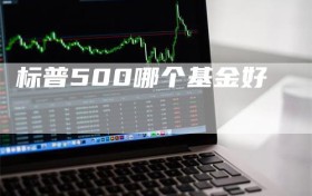 标普500哪个基金好