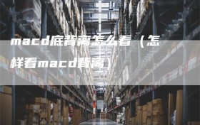 macd底背离怎么看（怎样看macd背离）