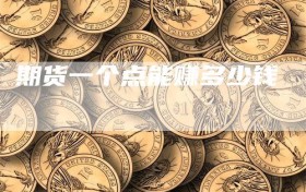 期货一个点能赚多少钱