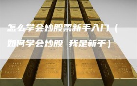 怎么学会炒股票新手入门（如何学会炒股 我是新手）