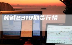 纯碱2310期货行情