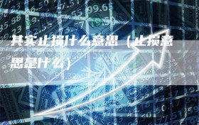 其实止损什么意思（止损意思是什么）