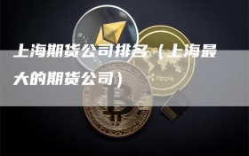 上海期货公司排名（上海最大的期货公司）