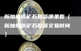 新加坡铁矿石期货哪里看（新加坡铁矿石期货交易时间）