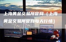 上海黄金交易所官网（上海黄金交易所官网每天行情）