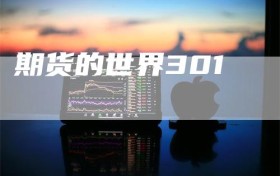 期货的世界301