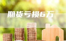 期货亏损6万