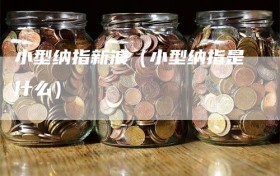 小型纳指新浪（小型纳指是什么）