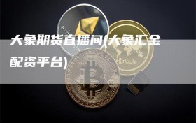 大象期货直播间(大象汇金配资平台)