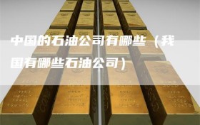 中国的石油公司有哪些（我国有哪些石油公司）