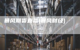 暴风期货直播(暴风财经)