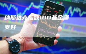 纳斯达克指数100基金哪支好