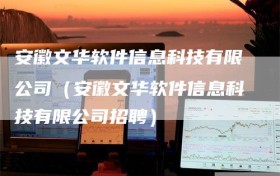 安徽文华软件信息科技有限公司（安徽文华软件信息科技有限公司招聘）