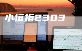 小恒指2303