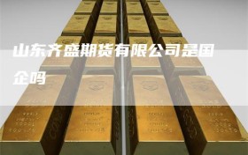 山东齐盛期货有限公司是国企吗