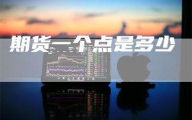 期货一个点是多少